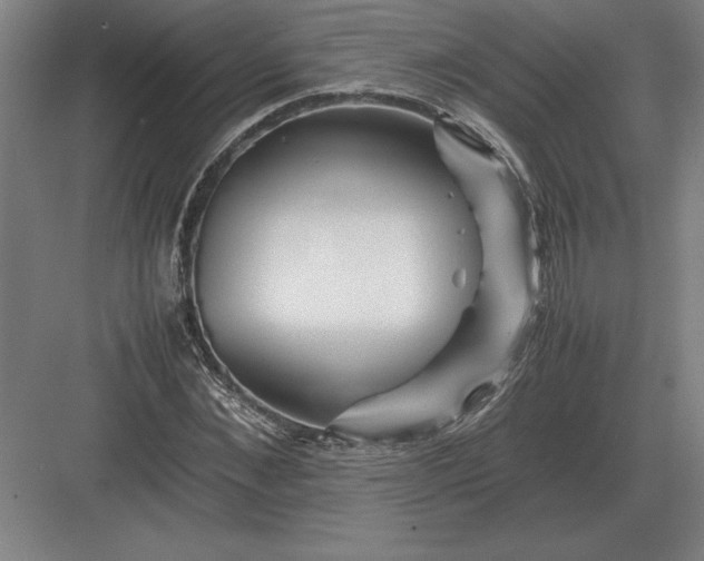 X0000083000876200702160047