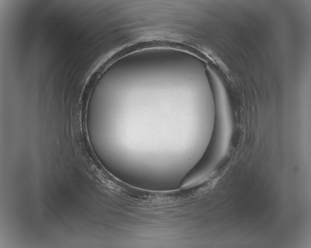 X0000083000877200702160047