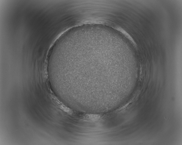 X0000083000878200702160047