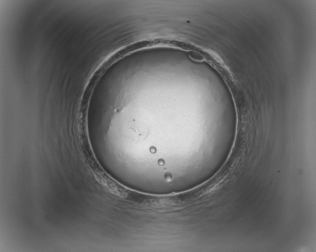 X0000083000879200702160047