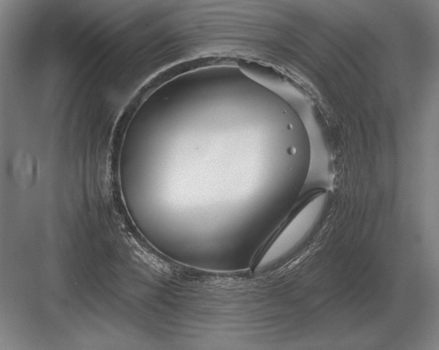 X0000083000880200702160046