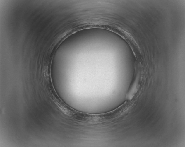 X0000083000881200702160046