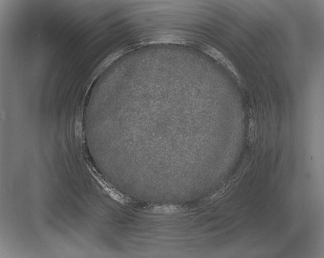 X0000083000882200702160046