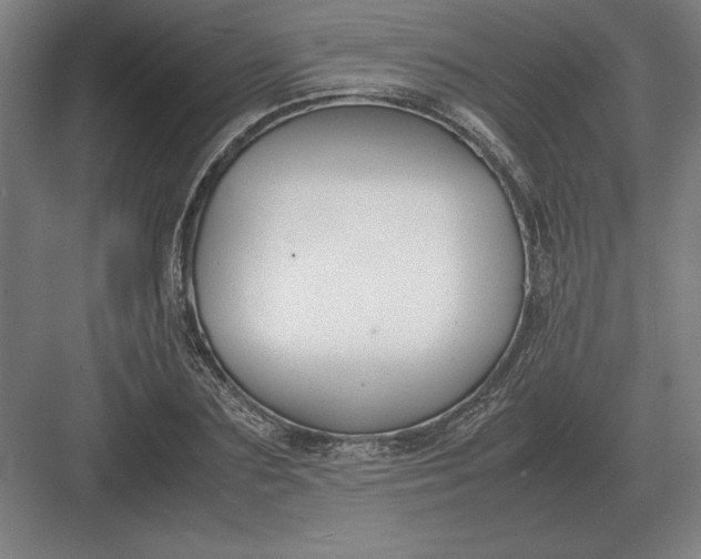 X0000083000883200702160046