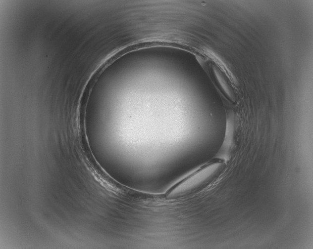 X0000083000884200702160046