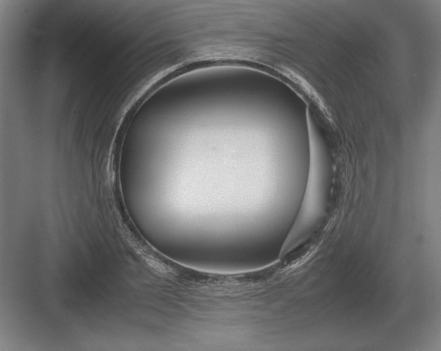 X0000083000885200702160046