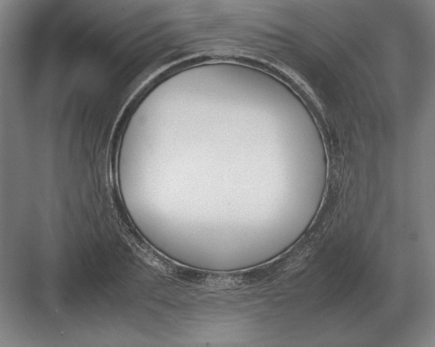 X0000083000887200702160046