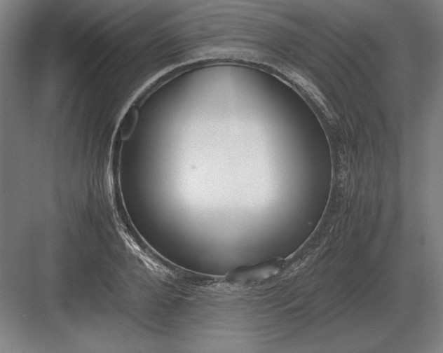 X0000083000888200702160046