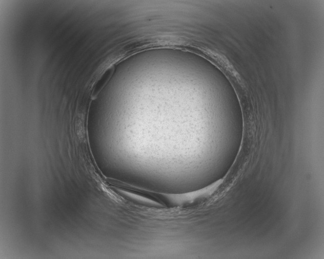 X0000083000889200702160046