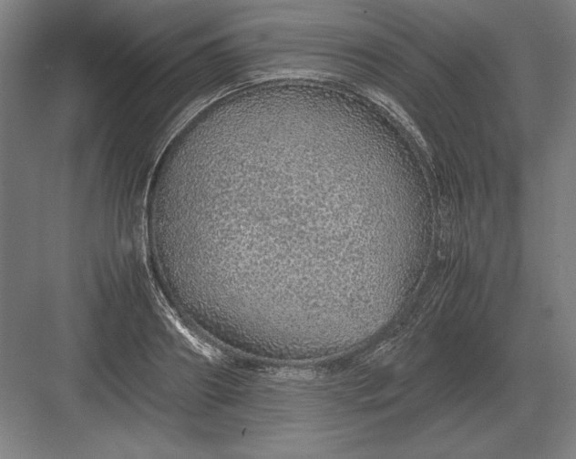 X0000083000890200702160046