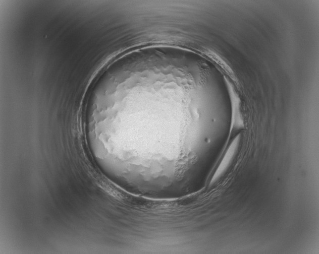 X0000083000891200702160046