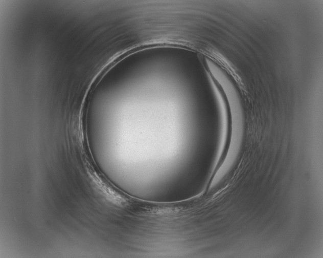 X0000083000892200702160046