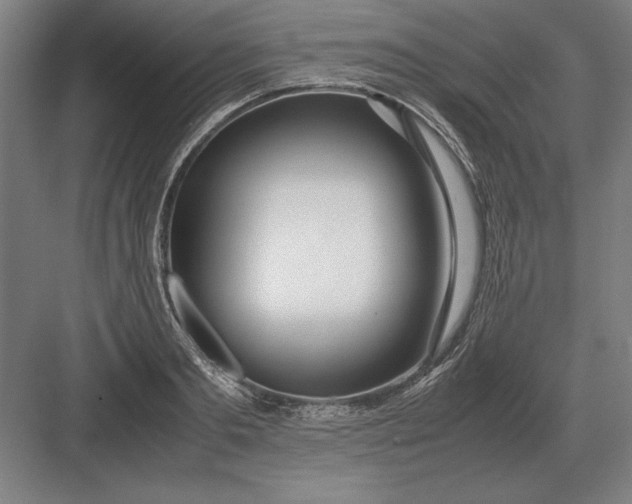 X0000083000893200702160046