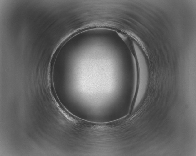 X0000083000894200702160046