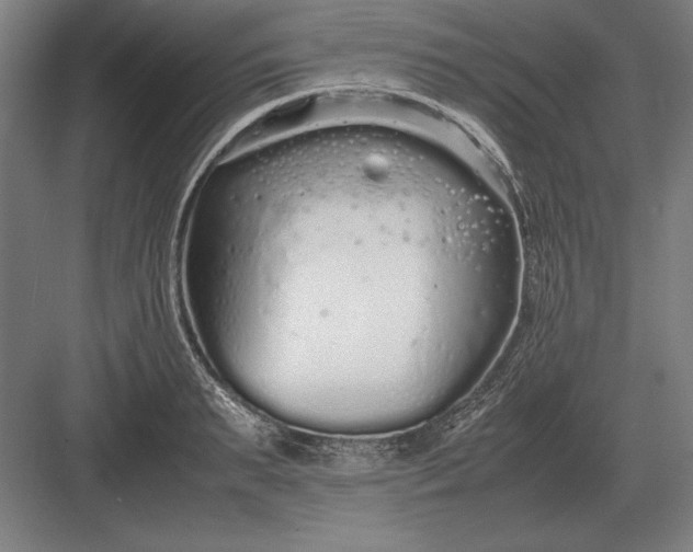 X0000083000895200702160046