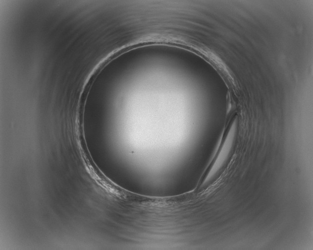 X0000083000896200702160046