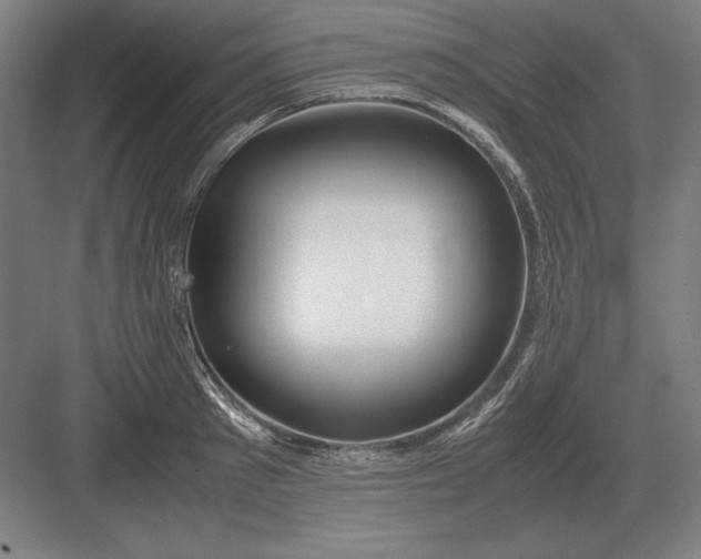 X0000083000897200702160046