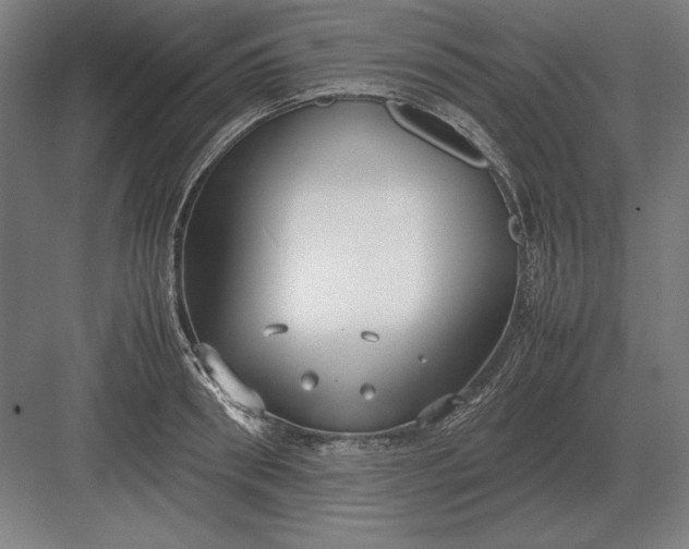 X0000083000898200702160046