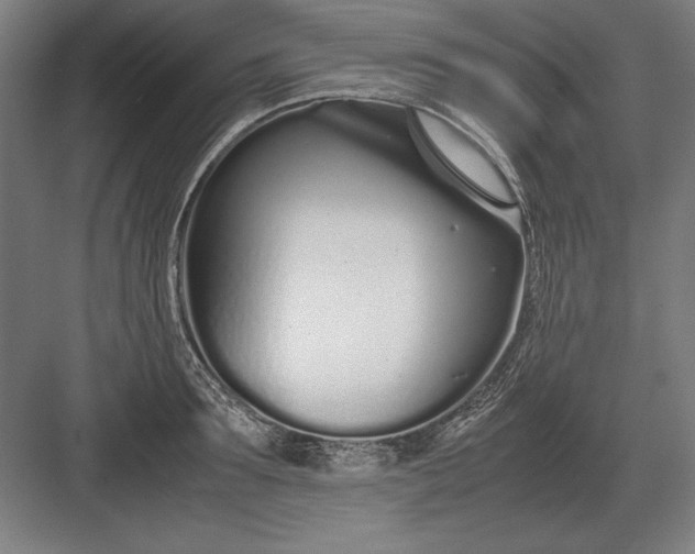 X0000083000899200702160046