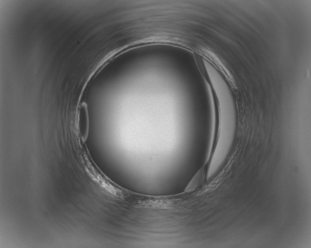 X0000083000900200702160046