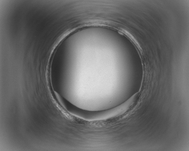 X0000083000901200702160046