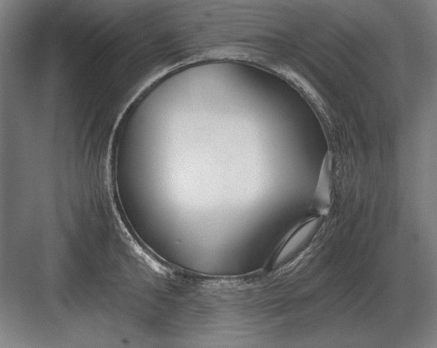 X0000083000902200702160046