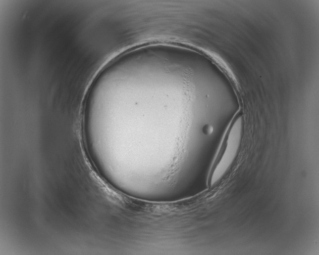 X0000083000903200702160046