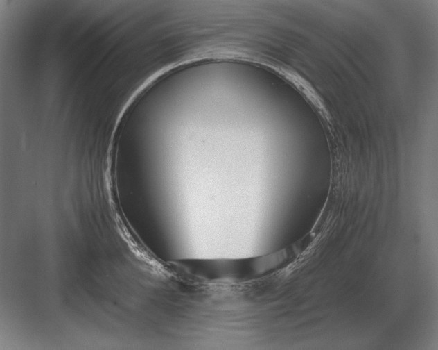 X0000083000904200702160046