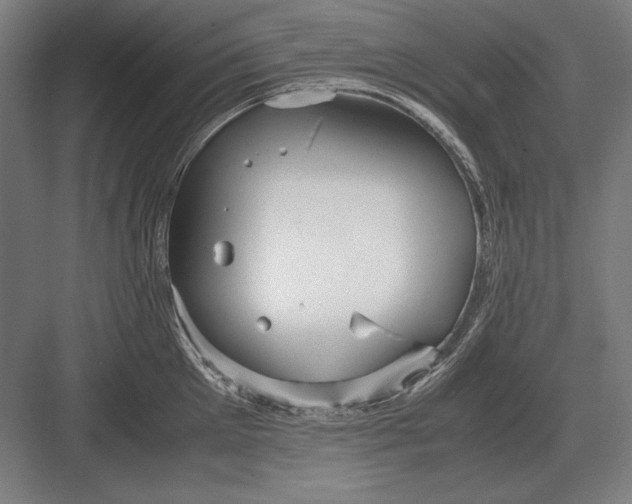 X0000083000905200702160046