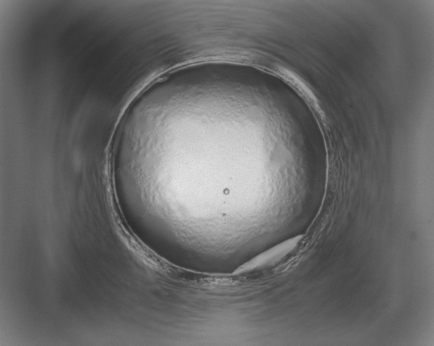 X0000083000907200702160046