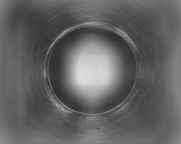 X0000083000908200702160046