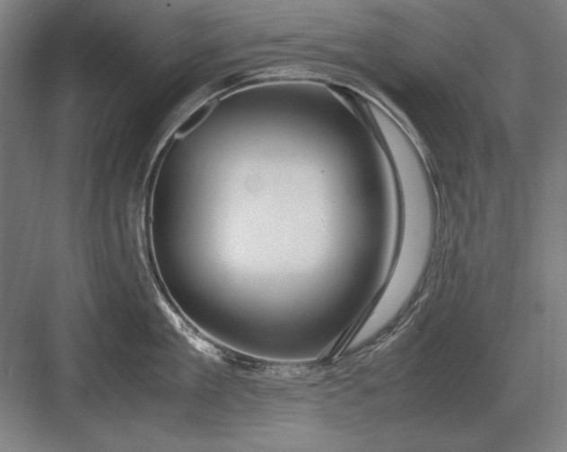 X0000083000909200702160046