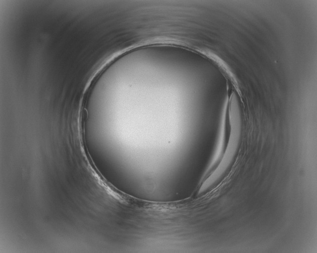 X0000083000910200702160046