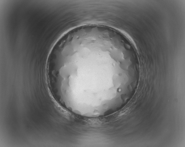 X0000083000911200702160046