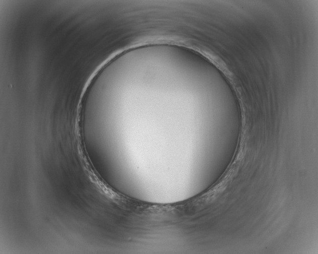 X0000083000912200702160046