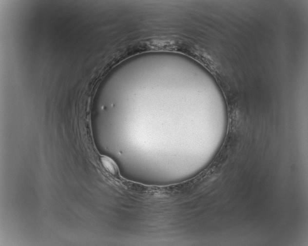 X0000083000913200702160045