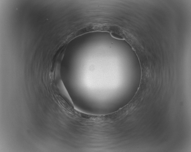 X0000083000914200702160045