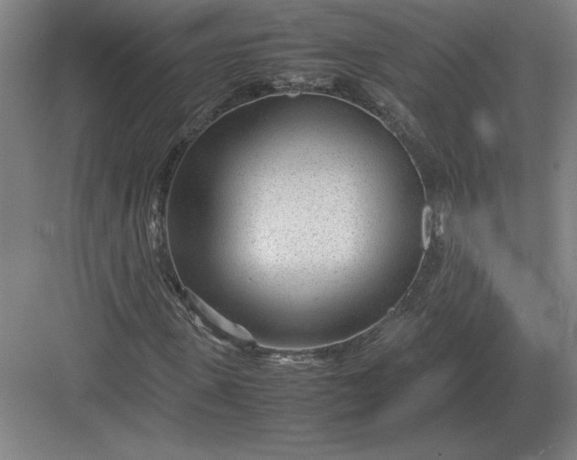 X0000083000915200702160045