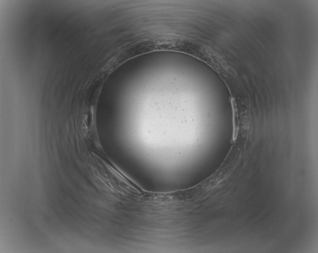 X0000083000916200702160045