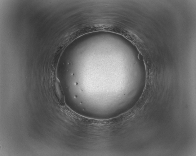 X0000083000917200702160045