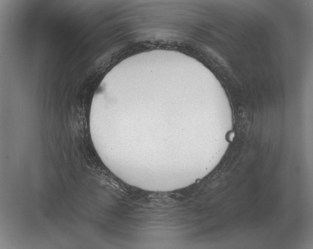 X0000083000918200702160045