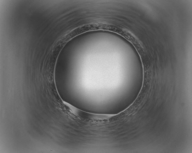 X0000083000919200702160045