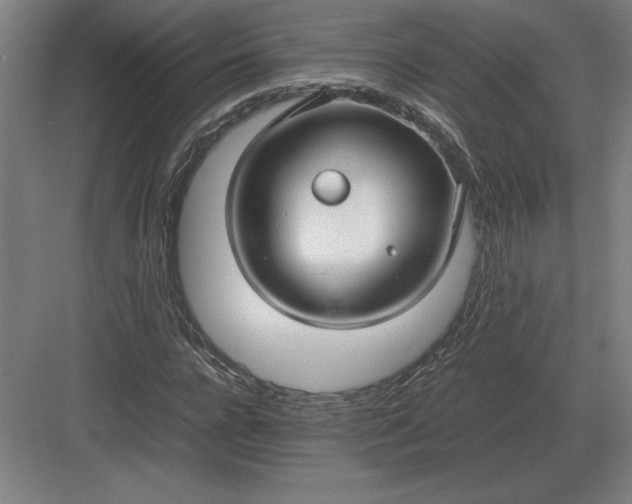 X0000083000920200702160045