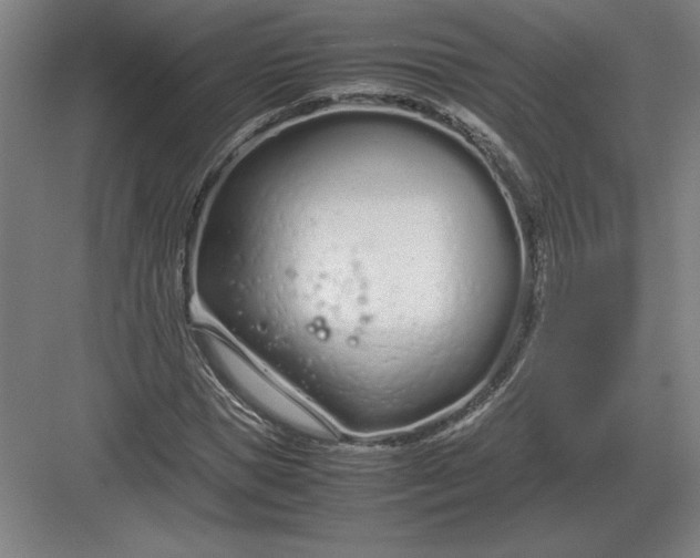 X0000083000921200702160045