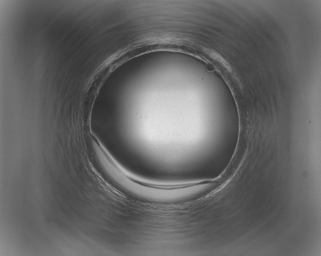 X0000083000922200702160045