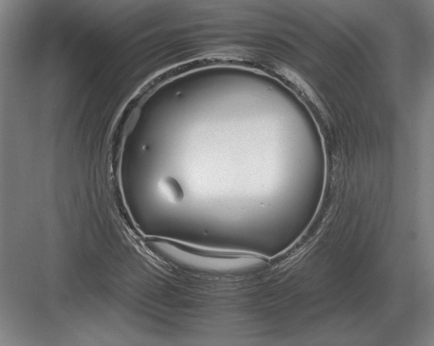 X0000083000923200702160045