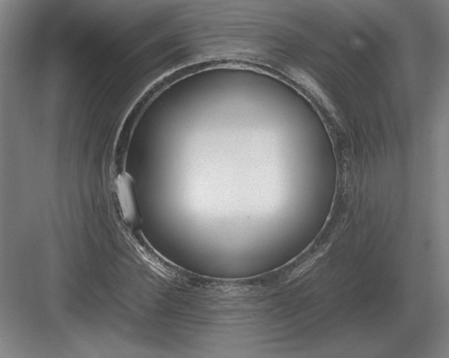 X0000083000924200702160045