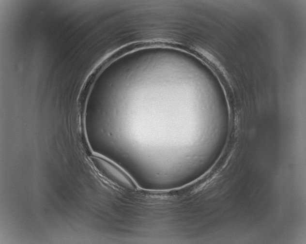 X0000083000925200702160045