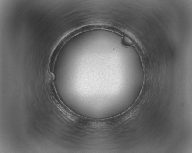 X0000083000927200702160045