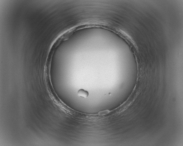 X0000083000928200702160045